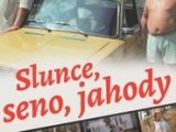 Slunce seno jahody online