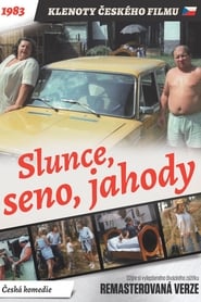 Slunce seno jahody online